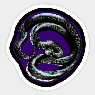 Black rat snake Sticker